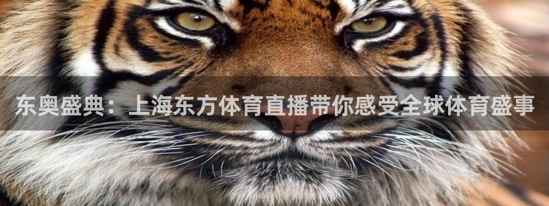 乐球体育直播在线观看：东奥盛典：上海东方体育直播带你感受全球体育盛事