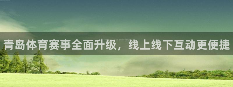 乐球体育直播免费在线观看：青岛体育赛事全面升级，线上线下互动更便捷