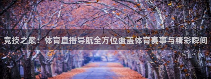 乐球直播在线看球：竞技之巅：体育直播导航全方位覆盖体育赛事与精彩瞬间