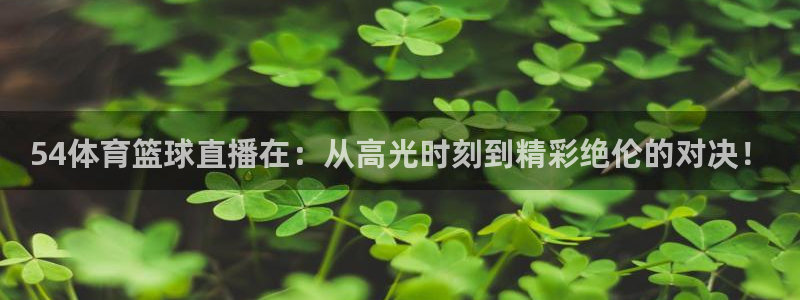 乐球直播在线观看免费nba直播：54体育篮球直播在：从高光时刻到精彩绝伦的对决！