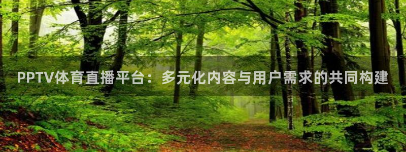 乐球直播免费下载：PPTV体育直播平台：多元化内容与用户需求的共同构建