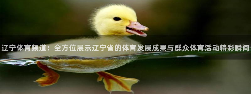 乐球吧jrs低调直播：辽宁体育频道：全方位展示辽宁省的体育发展成果与群众体育活动精彩瞬间