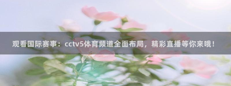 nba直播吧在线直播免费观看直播乐球：观看国际赛事：cctv5体育频道全面布局，精彩直播等你来哦！