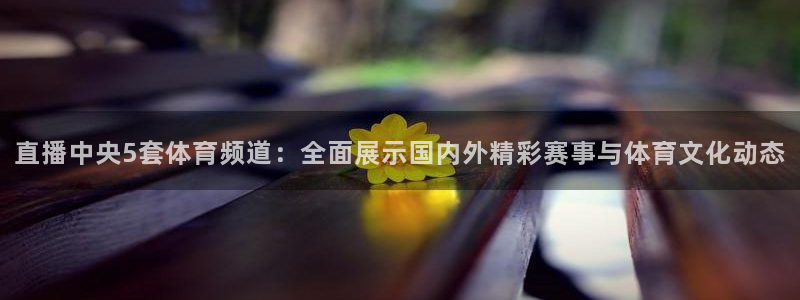 乐球看球直播
