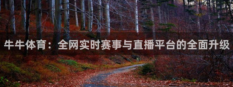 乐球直播无插件直播今日赛事：牛牛体育：全网实时赛事与直播平台的全面升级