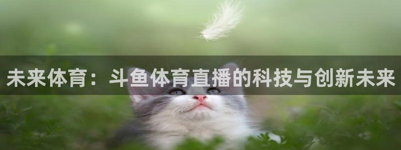 乐球免费直播吧