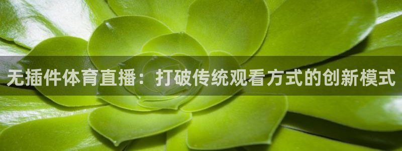 nba直播360乐球直播：无插件体育直播：打破传统观看方式的创新模式