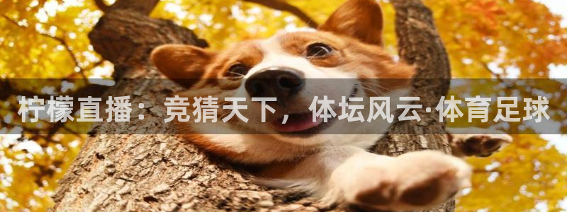 乐球吧体育直播nba直播：柠檬直播：竞猜天下，体坛风云·体育足球