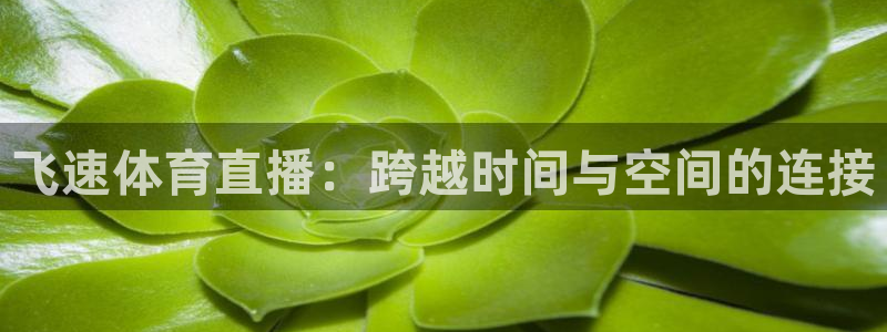 乐球在线直播：飞速体育直播：跨越时间与空间的连接